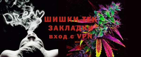молекула духа Инсар