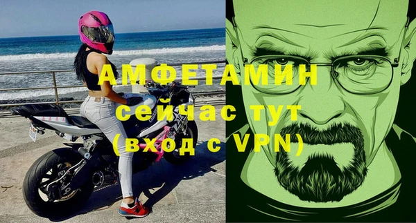 молекула духа Инсар