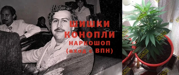мескалин Инта