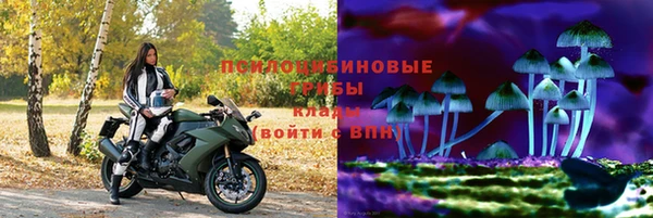 молекула духа Инсар