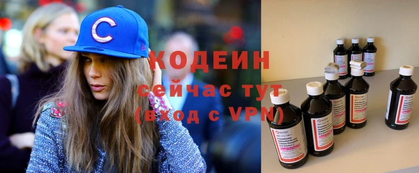 молекула духа Инсар