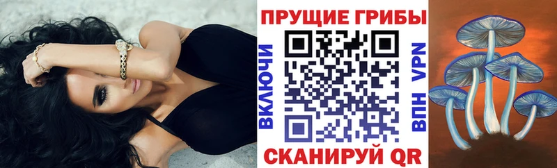 Псилоцибиновые грибы мицелий  Купить где  Тайга 